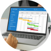 Consulting Project