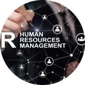 Consulting Project